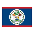 Flag of Belize Temporary Tattoo (1.5"x2")